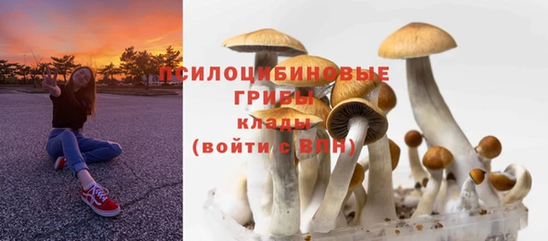 крисы Ельня