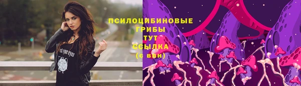 крисы Ельня