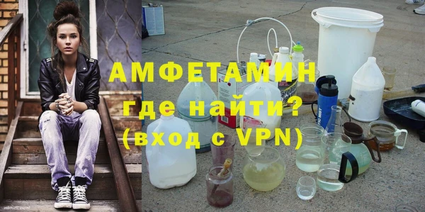 крисы Ельня