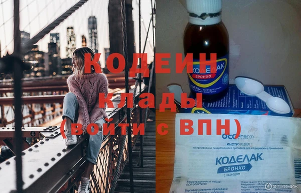 крисы Ельня