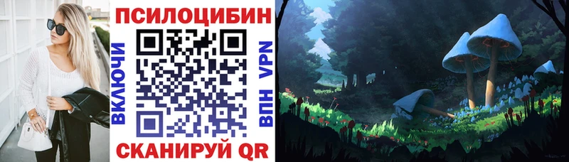 Галлюциногенные грибы Psilocybine cubensis Купить где Болотное