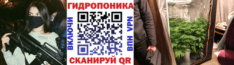 Купить  Болотное  Марихуана AK-47 